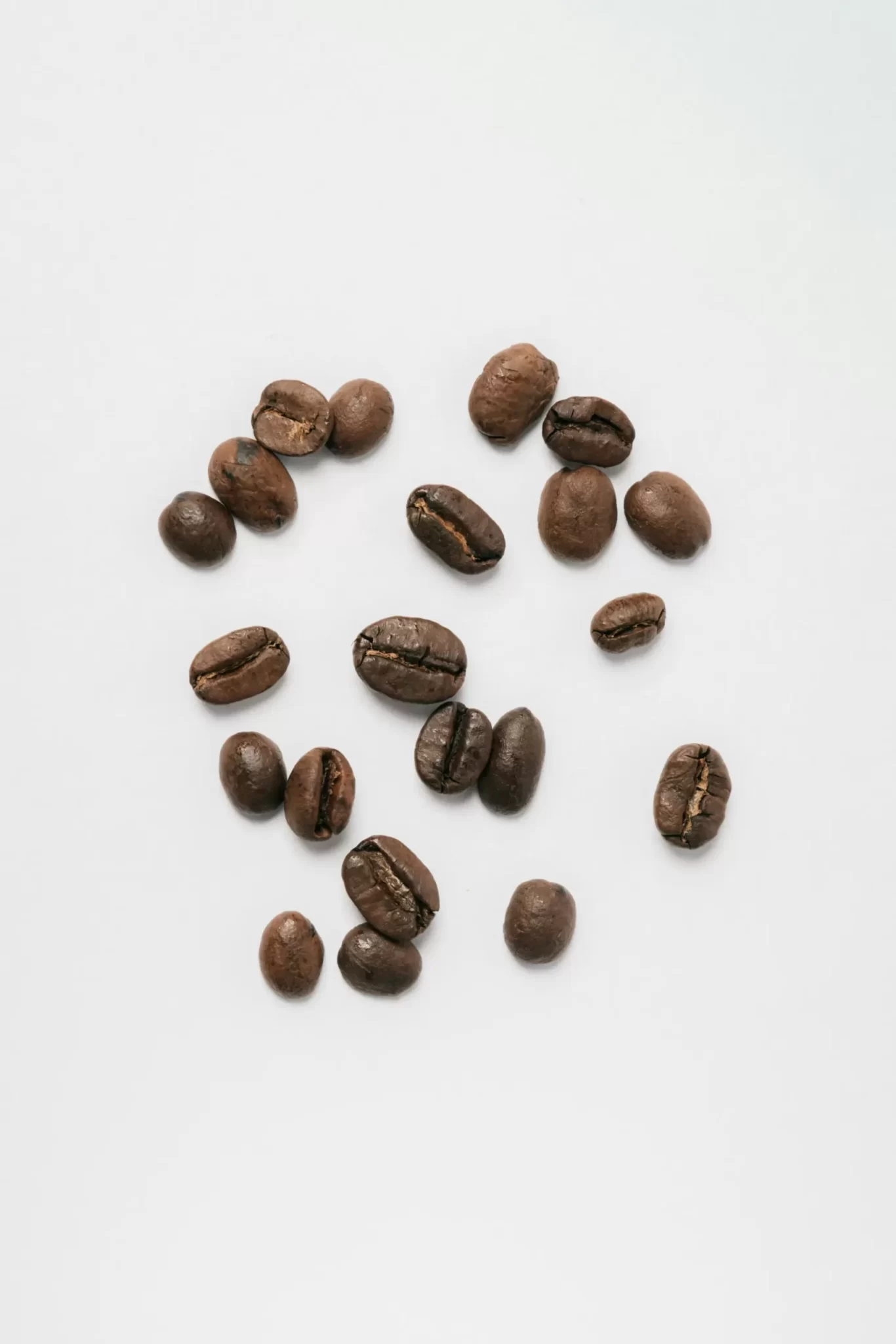 コーヒー豆